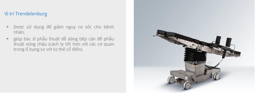 vị trí trendelenburg