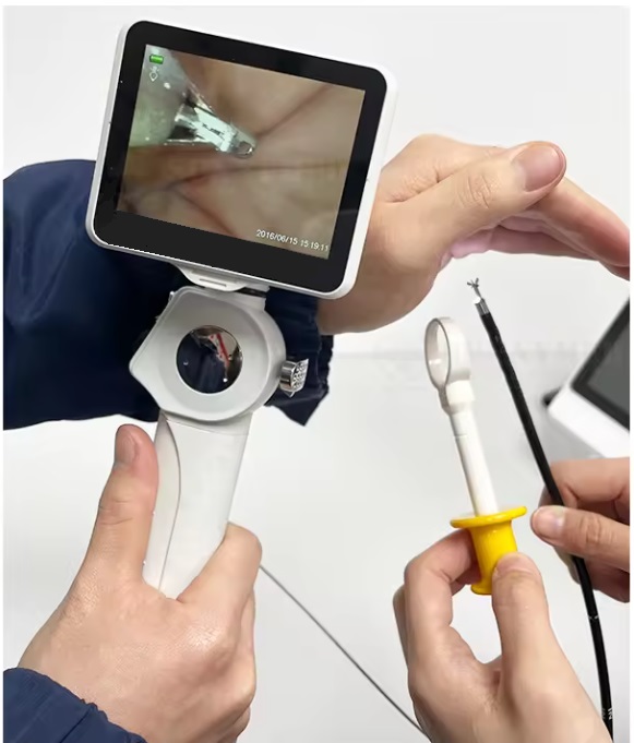 Máy nội soi cho động vật