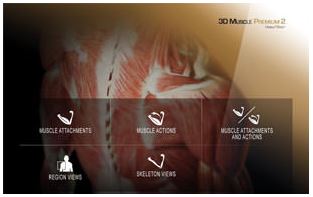 Máy điều trị sóng xung kích lan tỏa