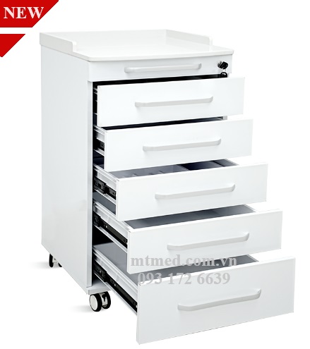 Tủ đầu giường SKS-D2C