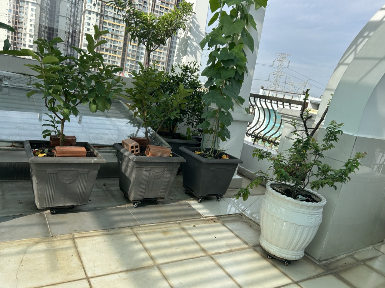 Vườn cây sân thượng sẽ trở nên gọn gàng sạch đẹp khi có đế lót chậu gỗ nhựa có bánh xe xoay 360 độ và có khóa an toàn