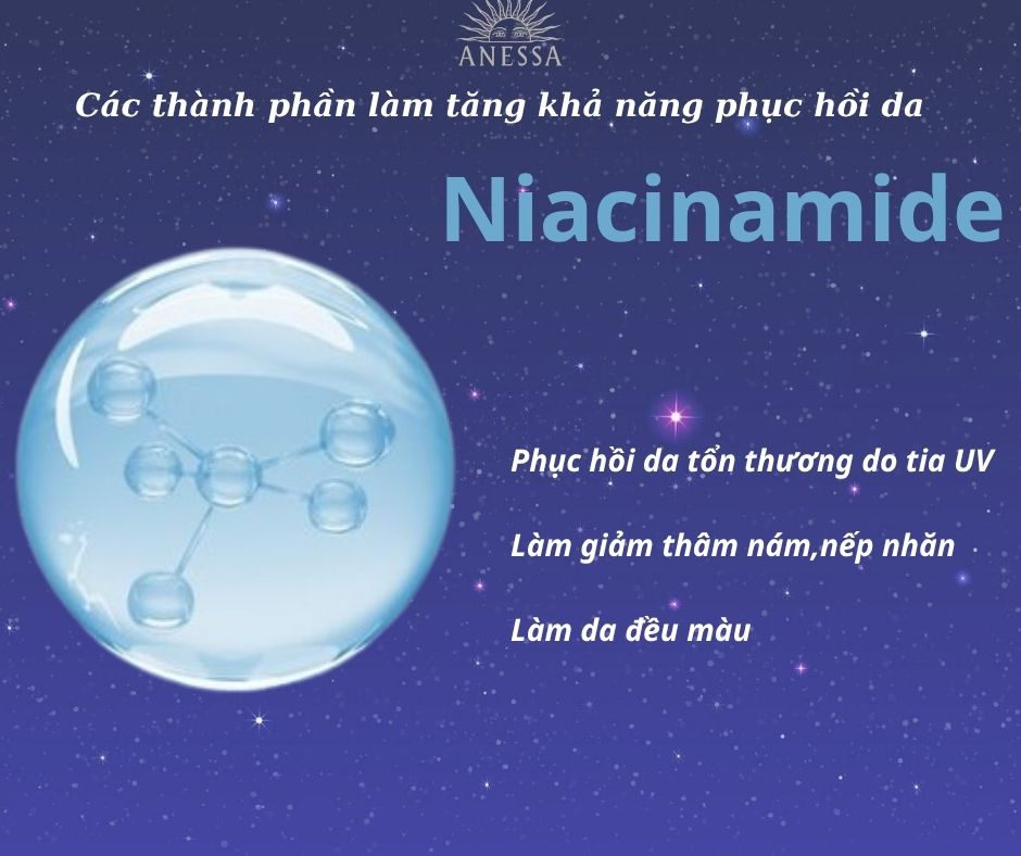 Serum dưỡng da phục hồi da Anessa Night Sun Serum Nhật Bản 180ml