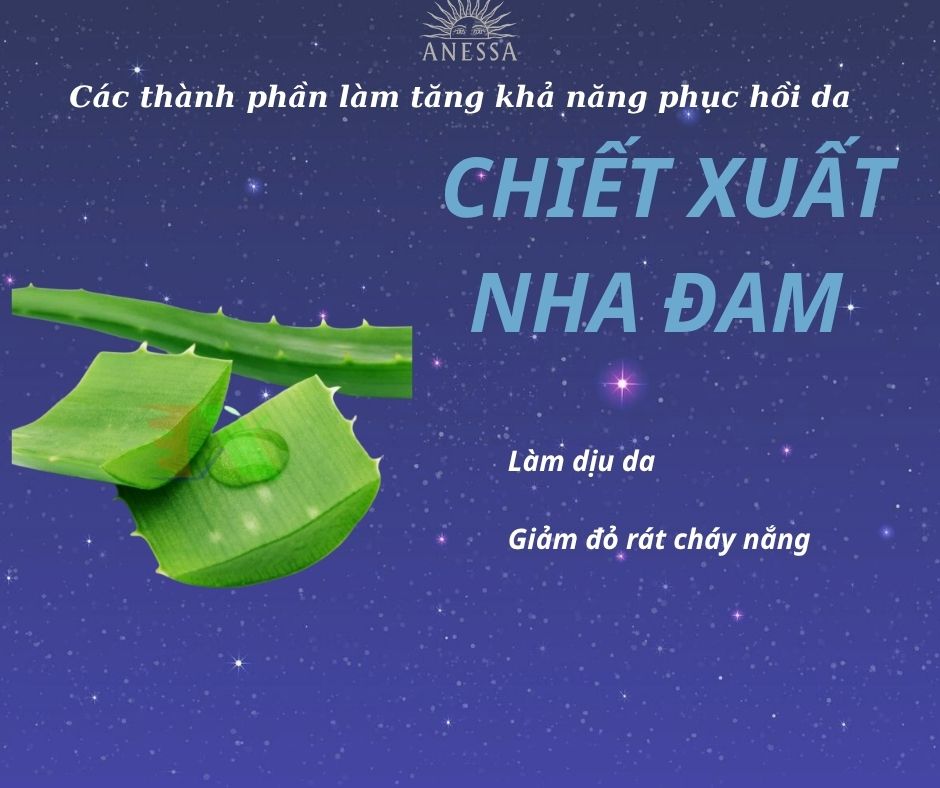 Serum dưỡng da phục hồi da Anessa Night Sun Serum Nhật Bản 180ml