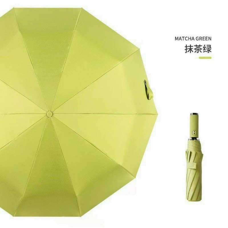 Ô tự động Ajisai Nhật Bản màu xanh cốm