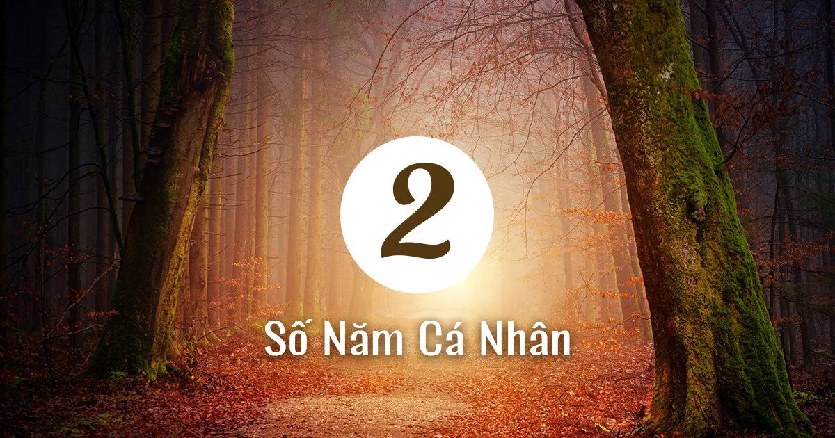 Dự Báo Tổng Quan Năm 2026 – Số Năm Cá Nhân Số 2