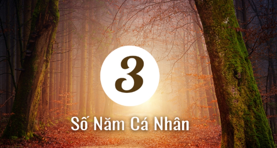 Những bí mật trong năm cá nhân số 3 khiến bạn bất ngời