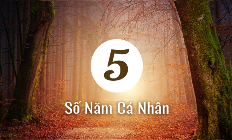 NHỮNG BÍ MẬT KHÓ NGỜ LIÊN QUAN ĐẾN NĂM CÁ NHÂN SỐ 5 MÀ BẠN CHƯA BIẾT