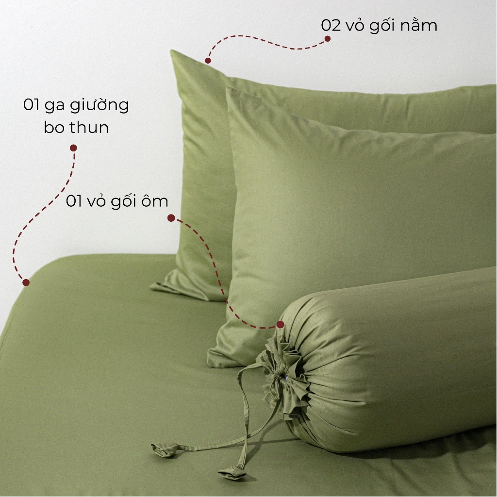 [Elegant] Bộ Ga Gối Cotton 100% Phong Cách Thanh Lịch