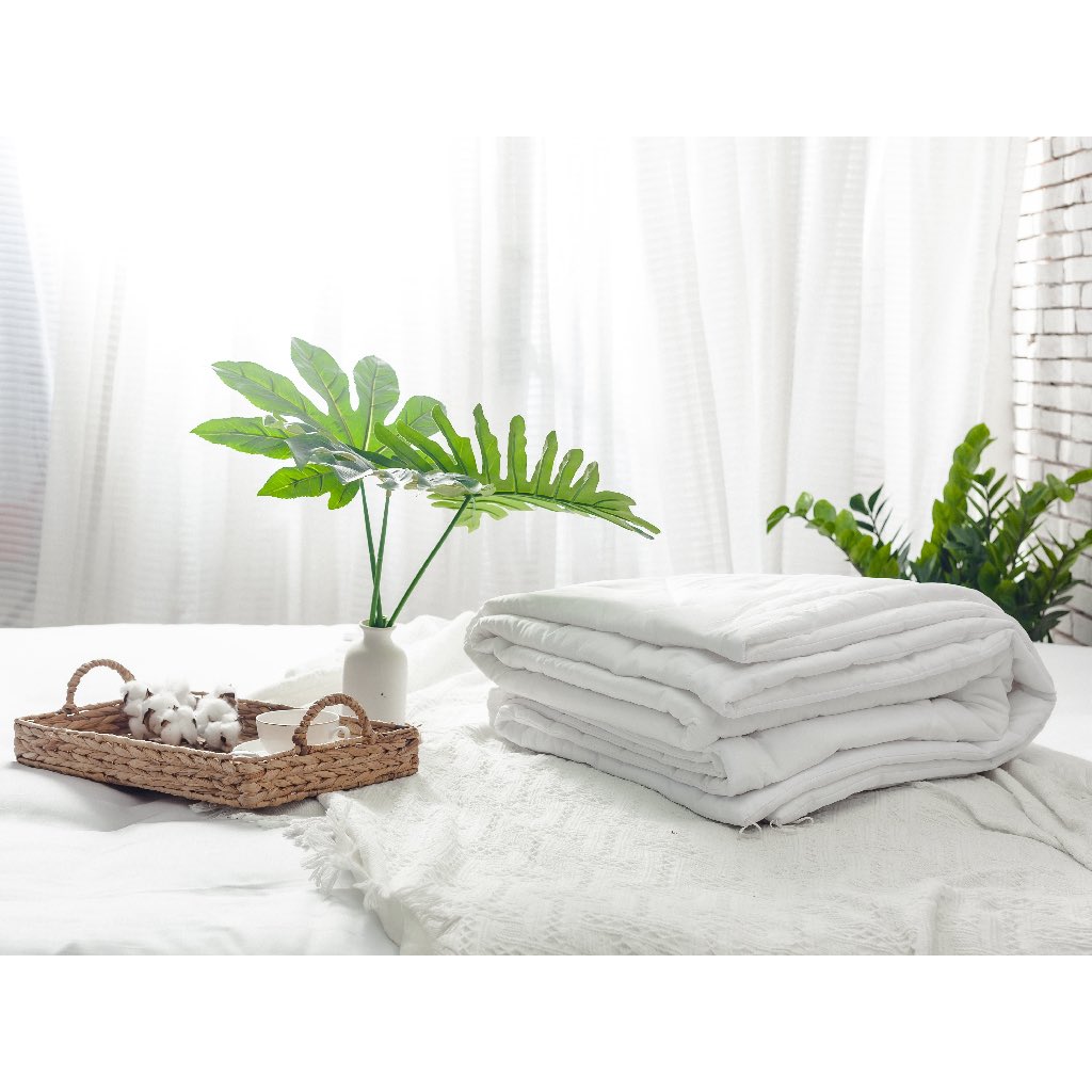 Ruột Chăn Hè Cao Cấp 2m2x2m