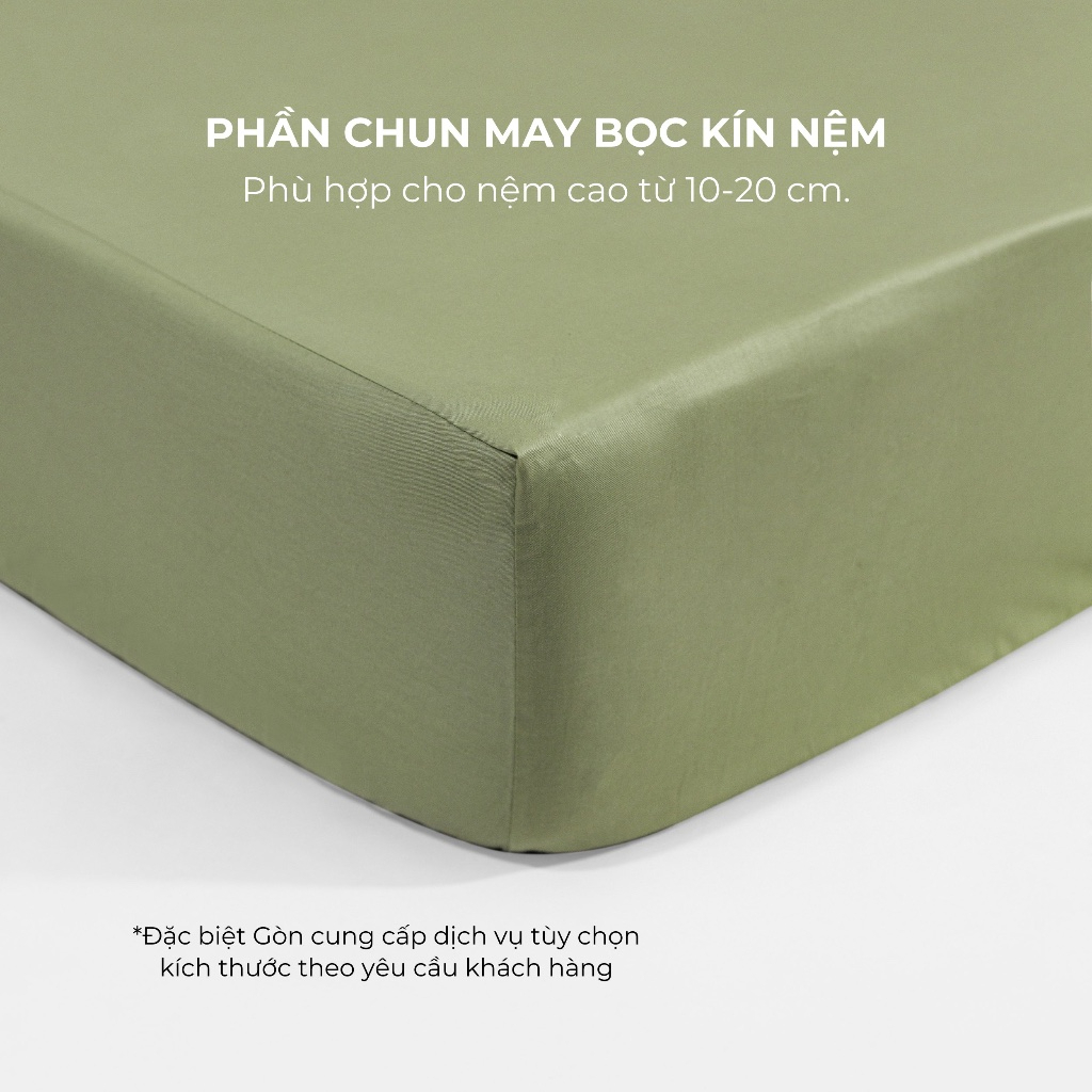 [Vibrant] Bộ Ga Gối Cotton 100% Phong Cách Nổi Bật
