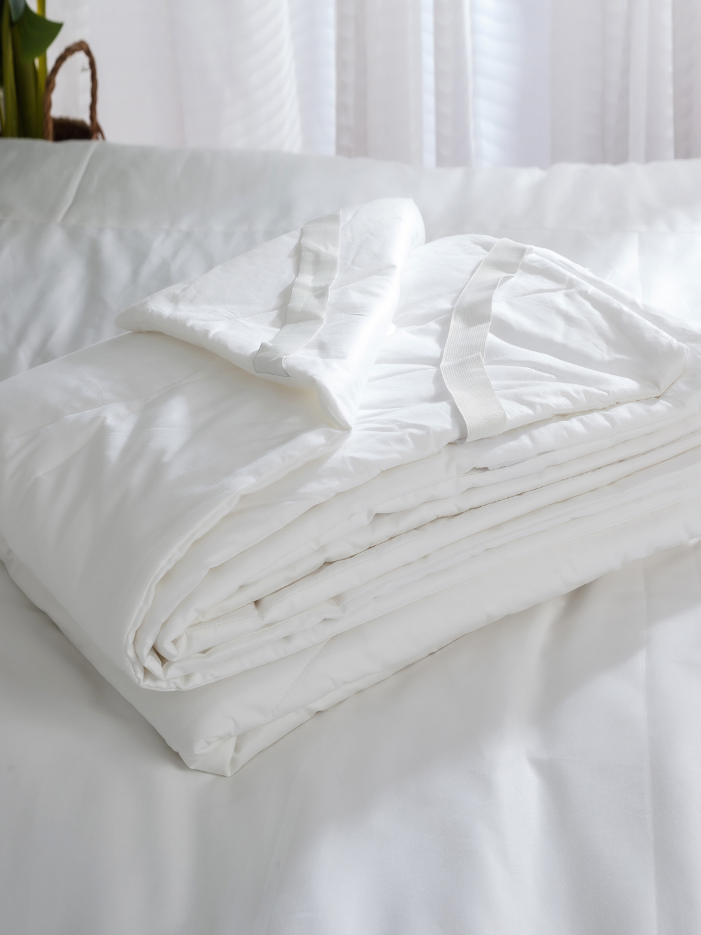 Tấm Bảo Vệ Nệm Cotton 100% Nhiều Kích Thước