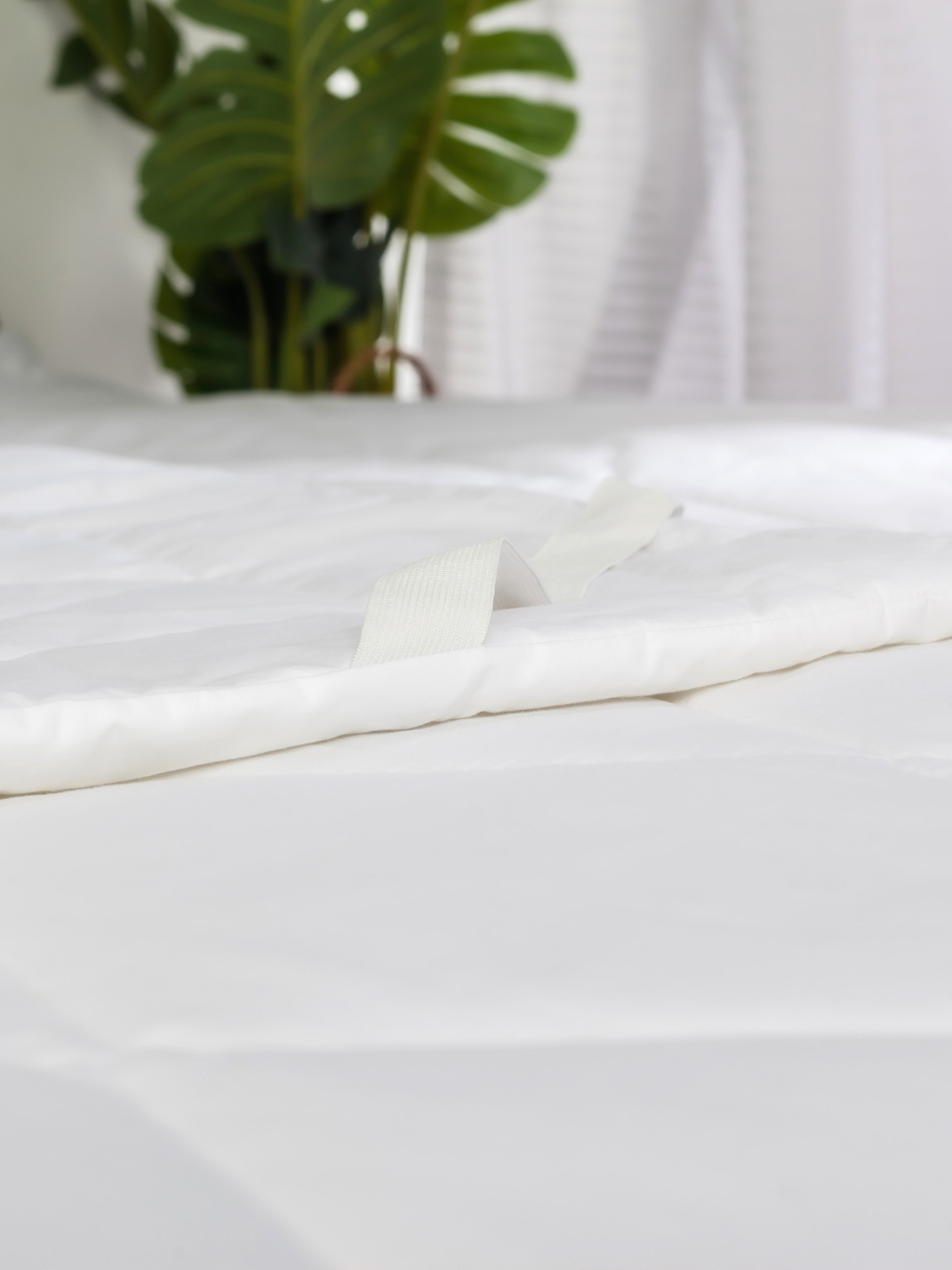 Tấm Bảo Vệ Nệm Cotton 100% Nhiều Kích Thước
