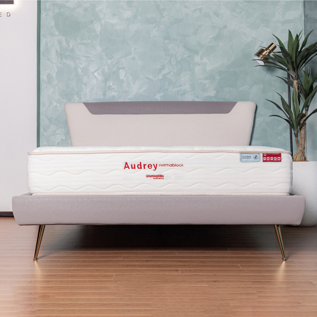 [Hàng chính hãng] Nệm Lò Xo Dunlopillo Audrey độ cao 25 cm 1mx2m | 1m2x2m | 1m4x2m| 1m6x2m | 1m8x2m | 2mx2m | 2m2x2m