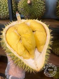 Món ăn độc đáo việt nam