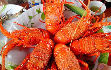 am-thuc-phu-hai