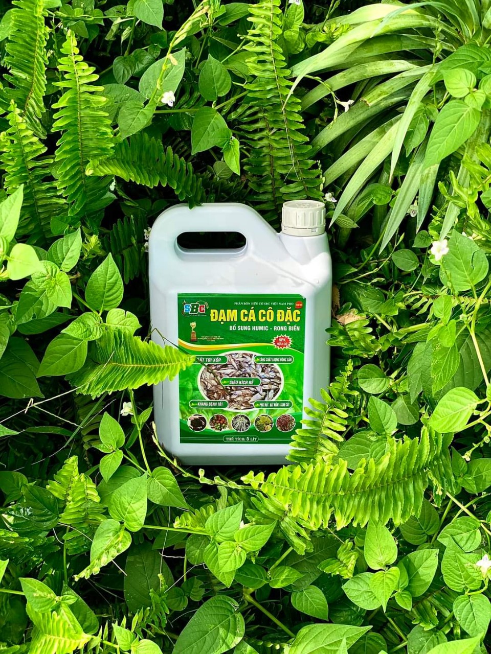 Sự khác biệt giữa Đạm cá SBC can 5 lít và 20 lít