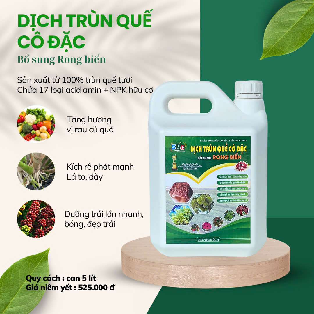 Dịch trùn quế bổ sung rong biển có tác dụng gì đối với cây trồng?