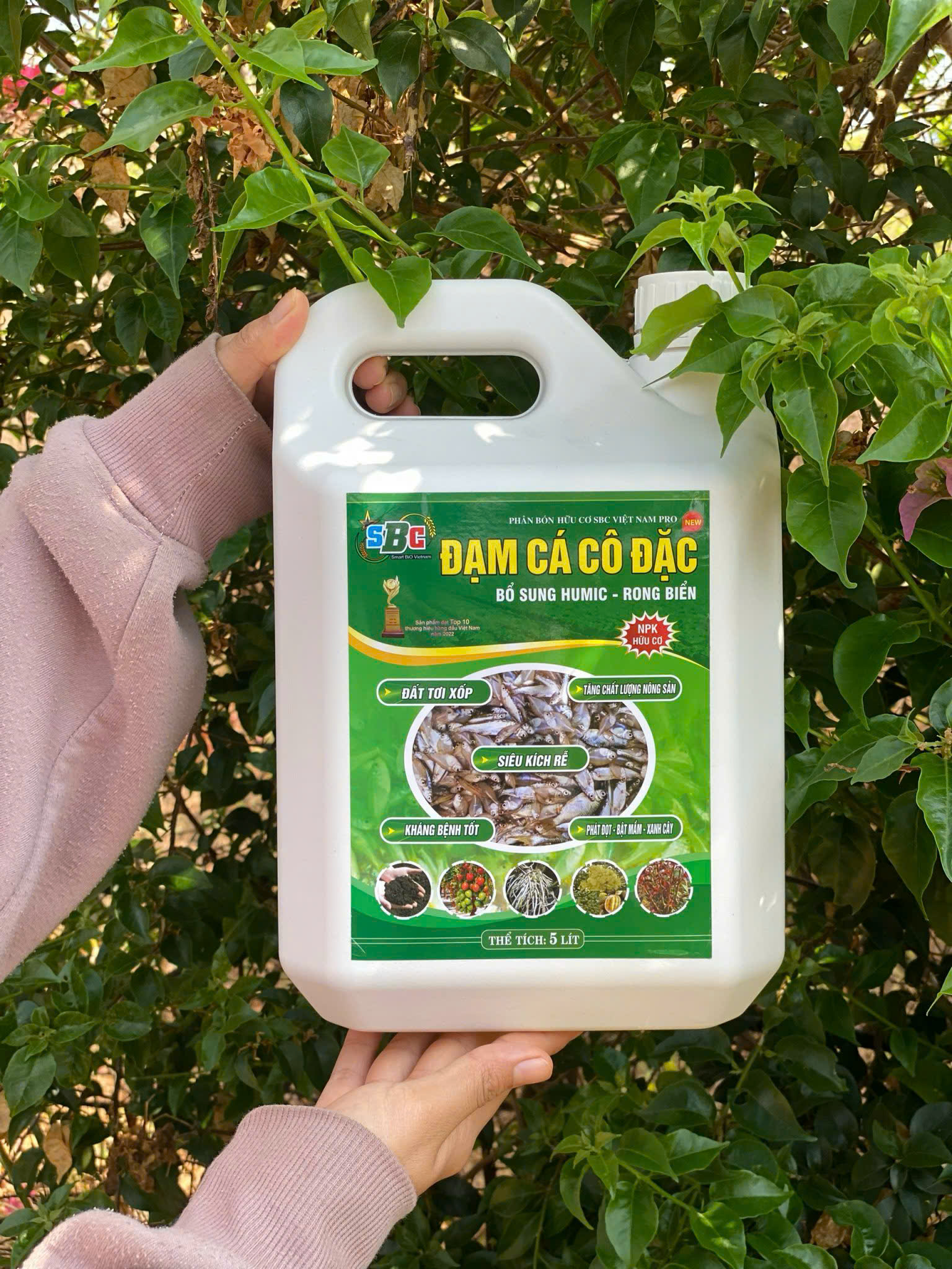 Đạm cá SBC phun qua lá rất tốt nhờ công nghệ cắt ngắn mạch amino