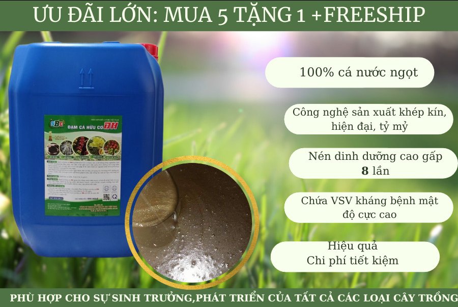 ĐẠM CÁ HỮU CƠ