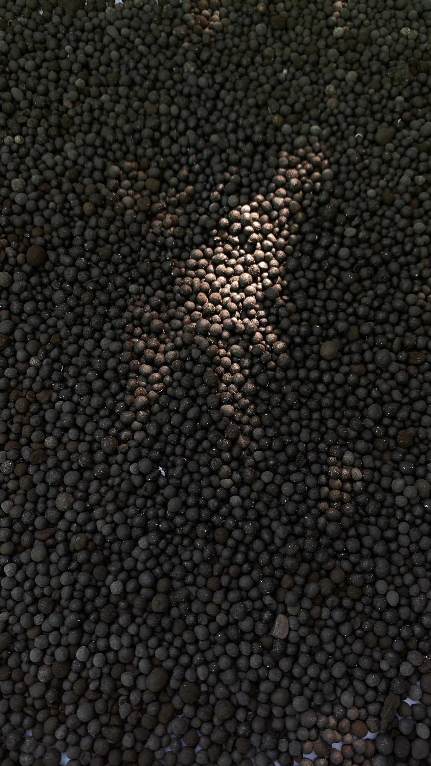 ĐẠM CÁ HUMIC
