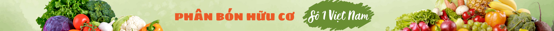 Banner header