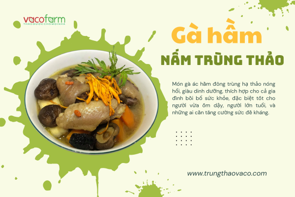 Hướng dẫn món nấu gà hầm đông trùng hạ thảo