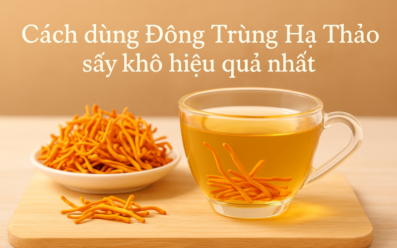 5 cách sử dụng nấm Đông trùng hạ thảo sấy khô hiệu quả nhất