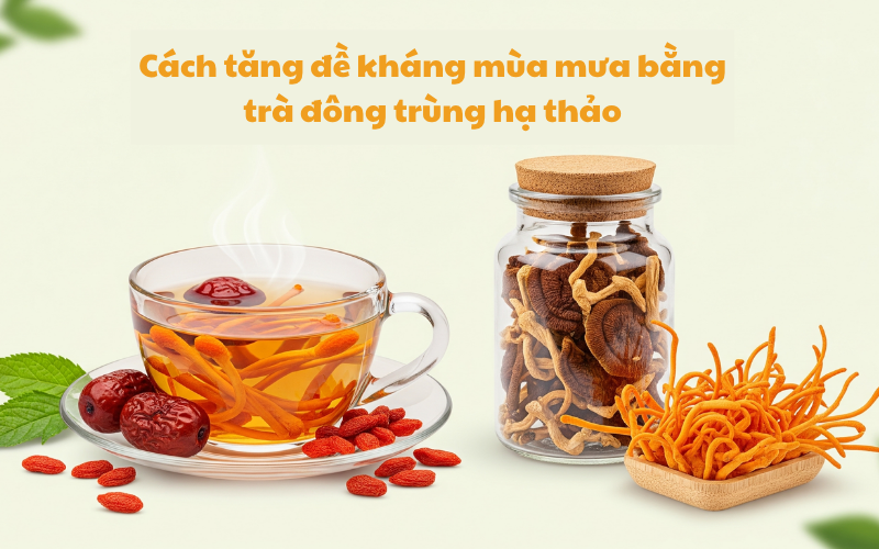 Cách tăng đề kháng mùa mưa bằng trà đông trùng hạ thảo