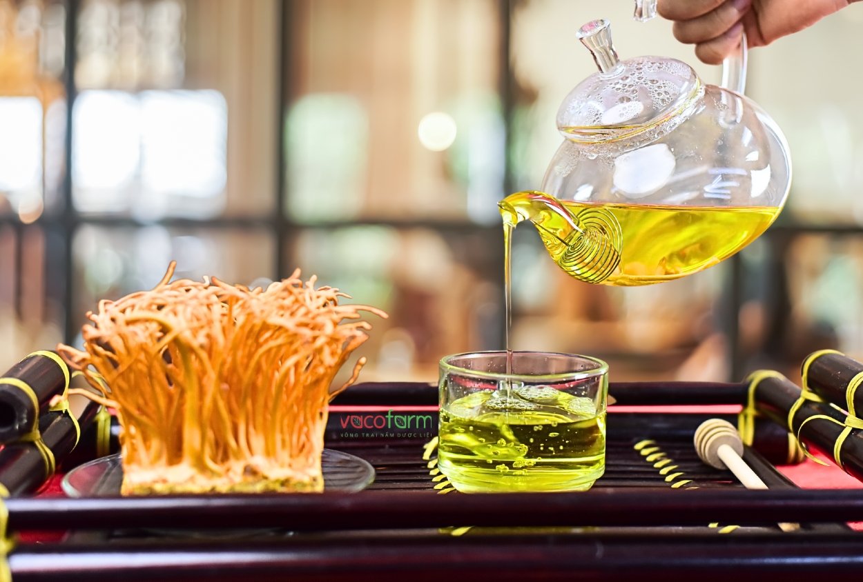 TOP 10 TÁC DỤNG CỦA ĐÔNG TRÙNG HẠ THẢO VỚI SỨC KHỎE CON NGƯỜI