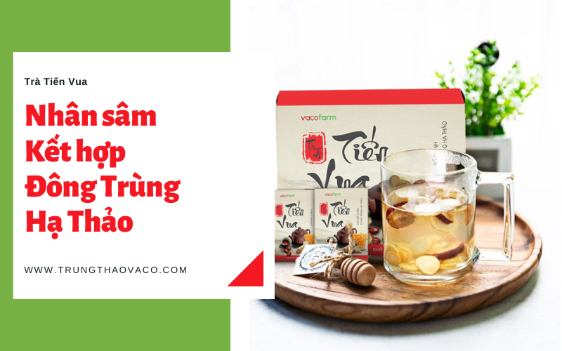 Nhân sâm và Đông trùng hạ thảo - Một sự kết hợp hiệu quả