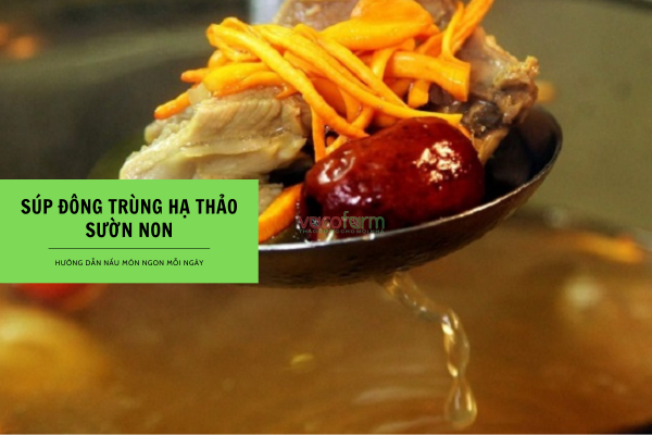 Hướng dẫn nấu món súp đông trùng hạ thảo sườn non