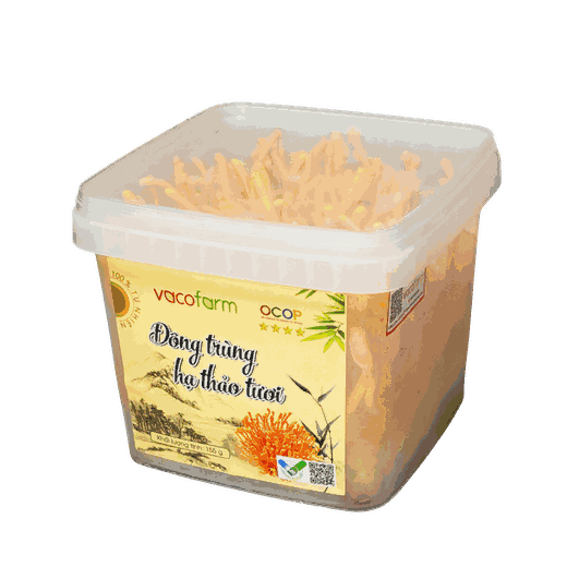 Hũ Đông trùng hạ thảo tươi Vacofarm