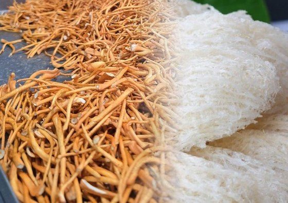 Nguyên liệu bổ dưỡng