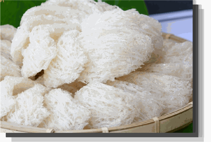 Tổ yến sào Vacofarm
