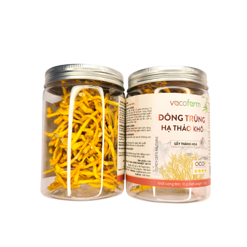 Đông trùng hạ thảo khô Vacofarm - Hũ nhựa 10g