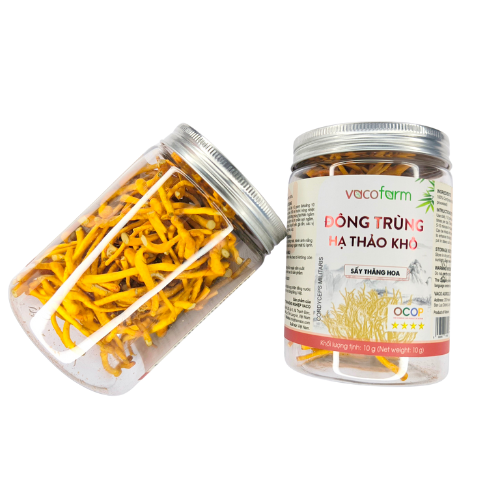 Đông trùng hạ thảo khô Vacofarm - Hũ nhựa 10g