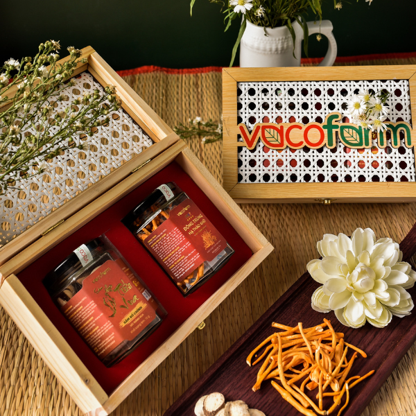 Hộp quà Đông Trùng Tiến Vua VIP01