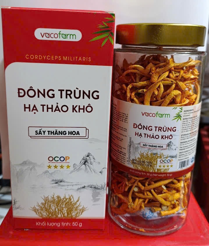Đông trùng hạ thảo khô 50g - Hũ thủy tinh