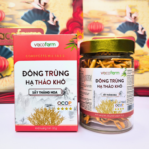 Đông trùng hạ thảo khô 30g - Hũ thủy tinh