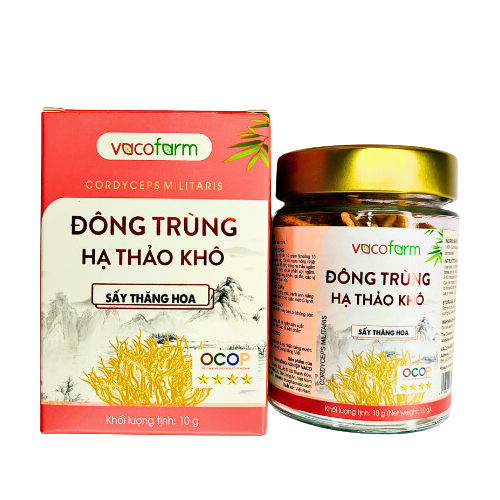 Đông trùng hạ thảo khô 10g - Hũ thủy tinh