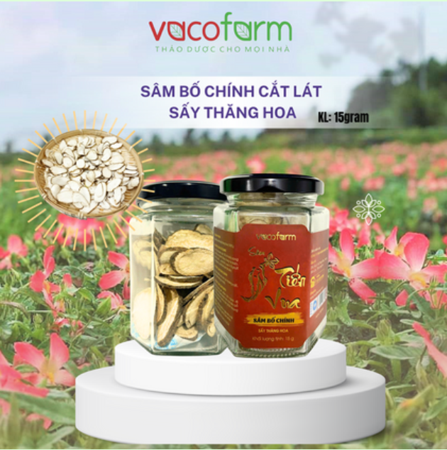 Hộp quà ĐÔNG TRÙNG TIẾN VUA VIP 01