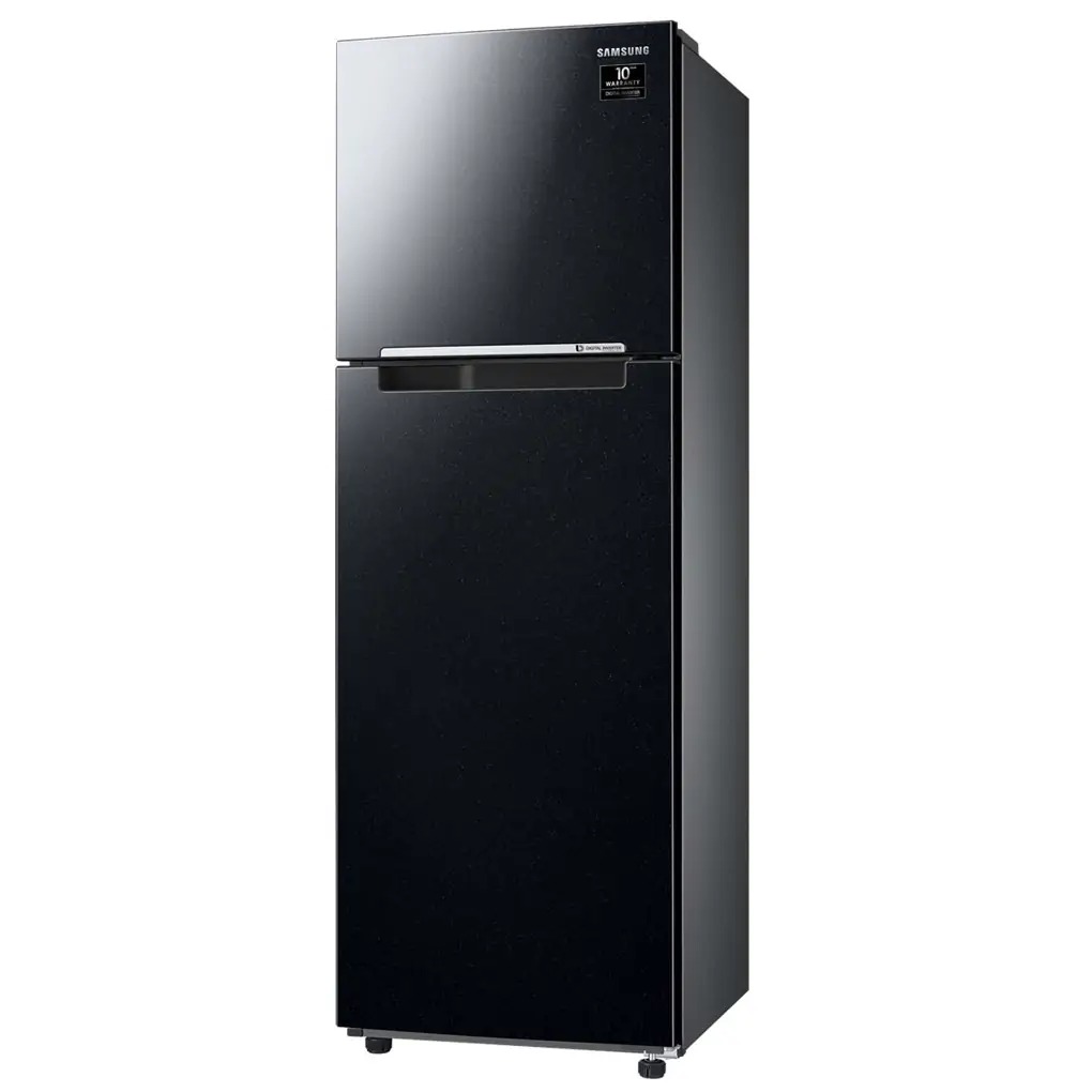 Tủ Lạnh Samsung Inverter 256 Lít RT25M4032BU