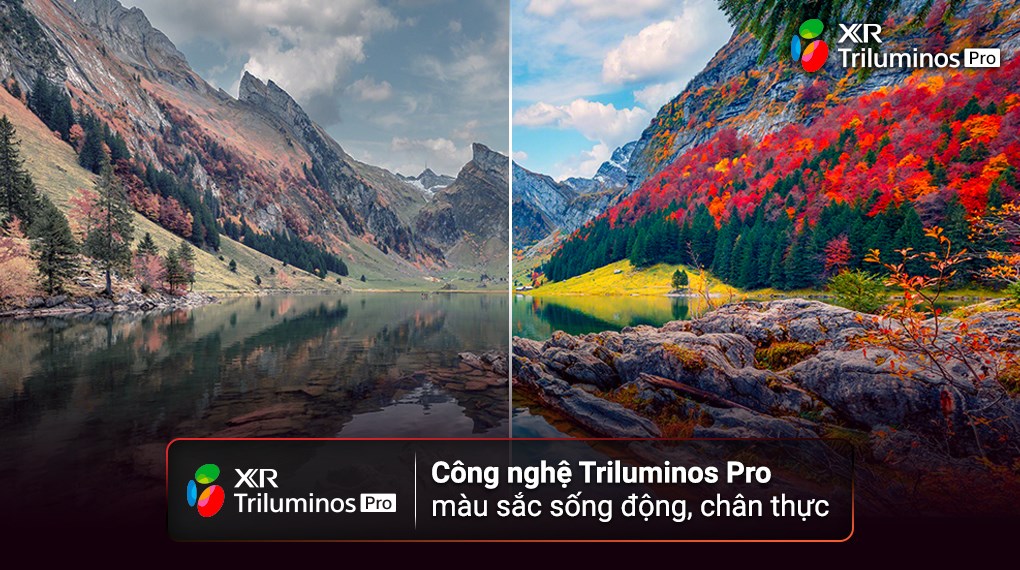 Google Tivi Sony 4K 65 inch KD-65X80L