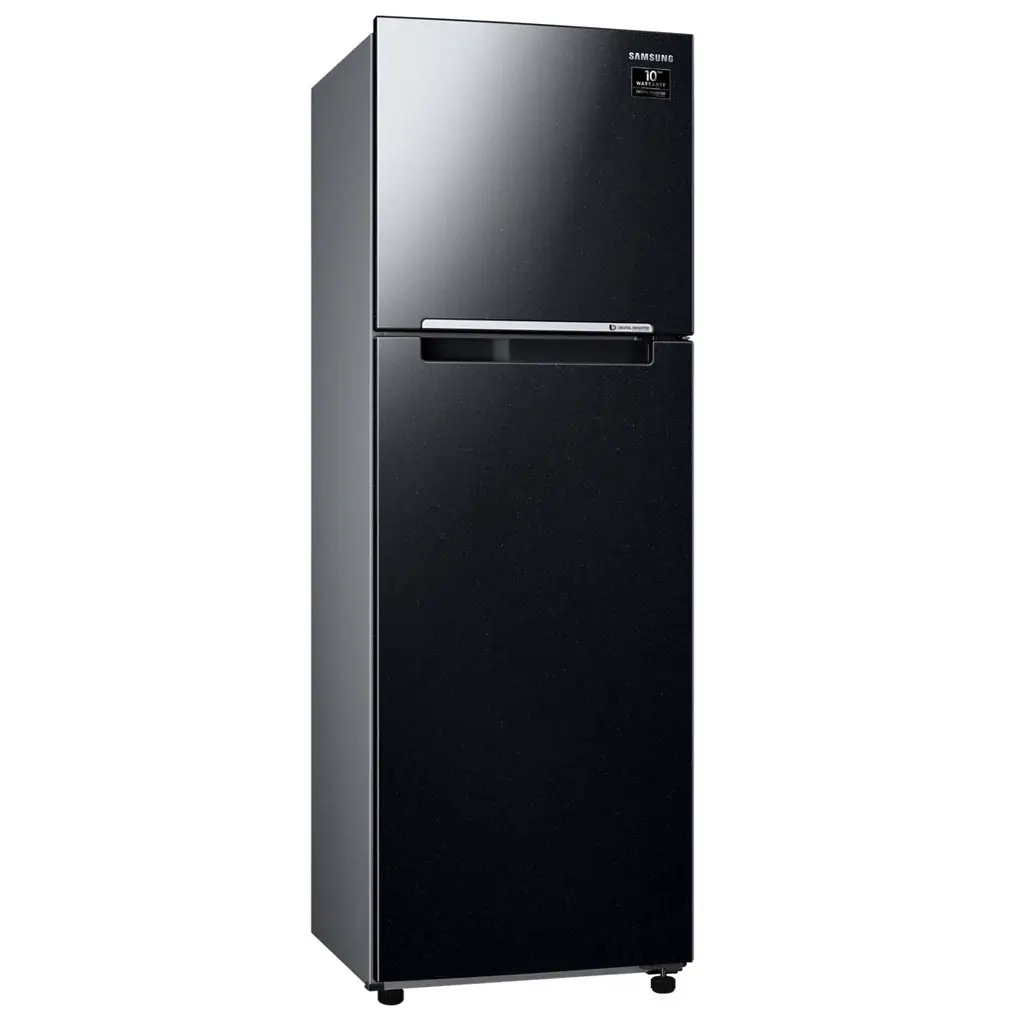 Tủ Lạnh Samsung Inverter 256 Lít RT25M4032BU
