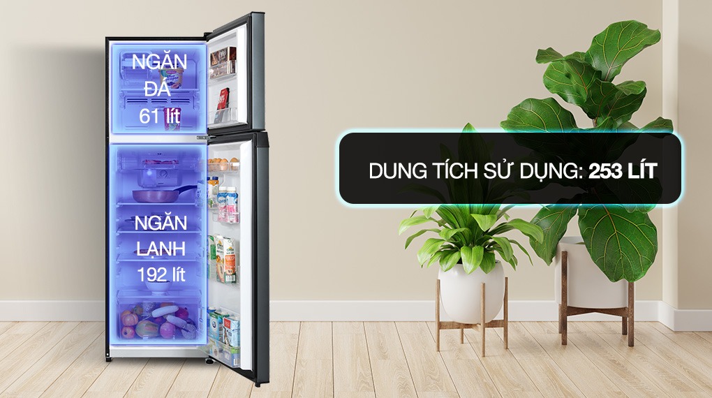 Tủ Lạnh Toshiba Inverter 253 Lít GR-RT329WE-PMV (52)