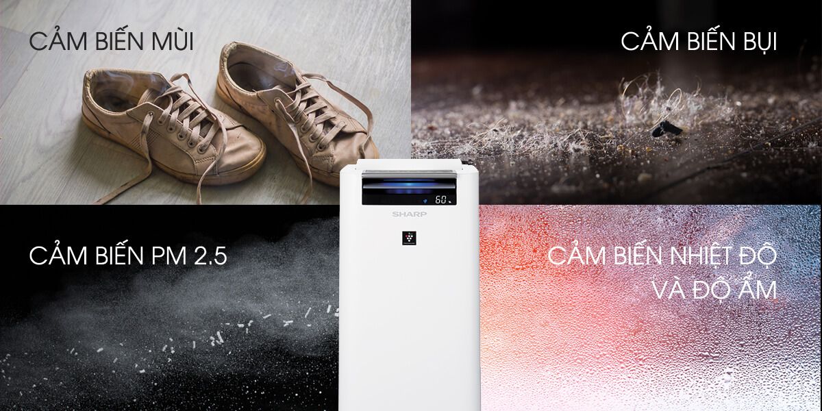 Máy lọc không khí tạo ẩm Sharp KC-G40EV-W