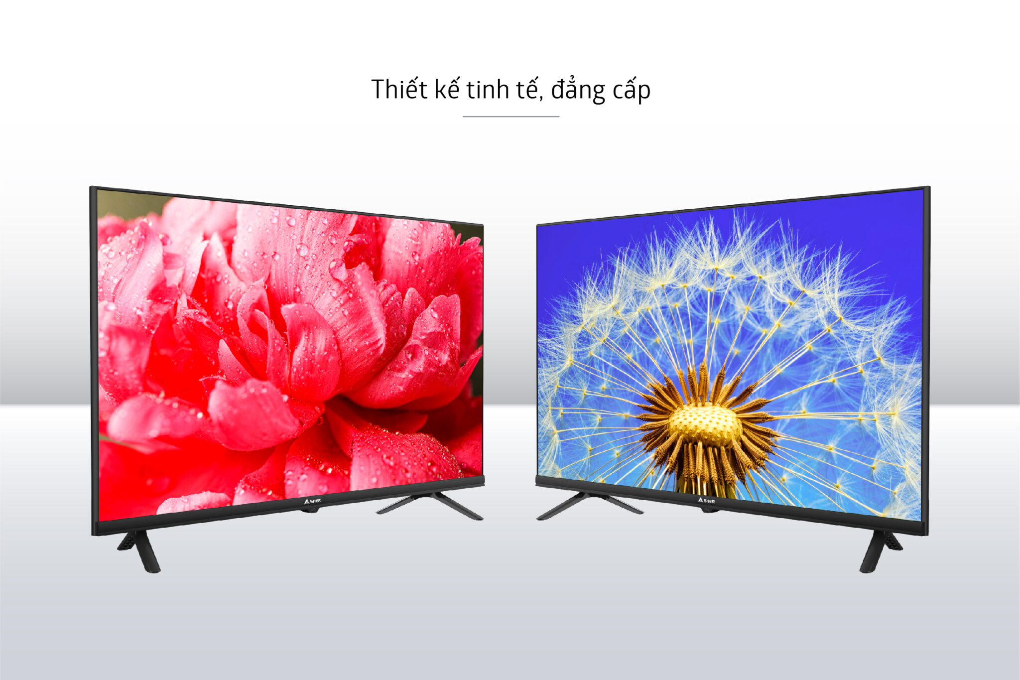 Tivi Led Asher HD 32 inch A-32T3600