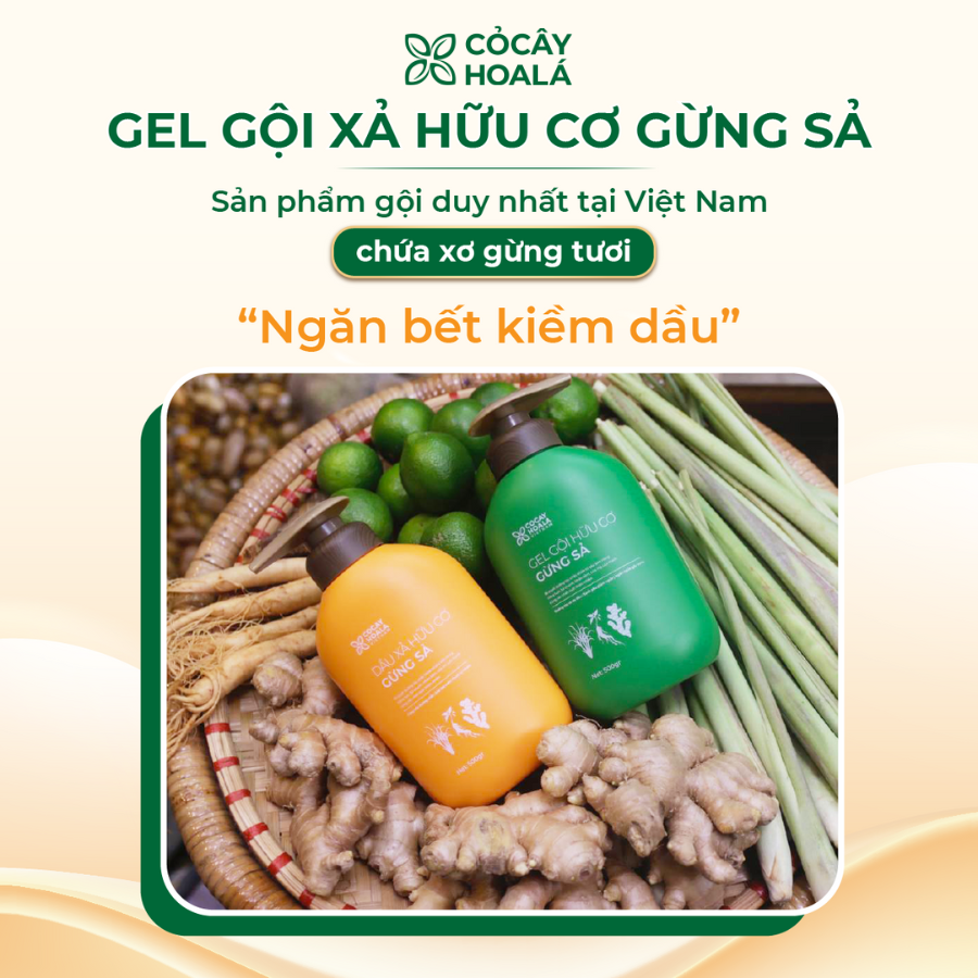 Combo gel gội xả Gừng sả 500gr - Cỏ Cây Hoa Lá