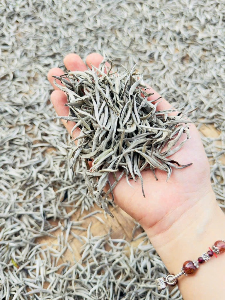 Set Lục Việt Bảo Trà Behapy (6 phẩm trà)