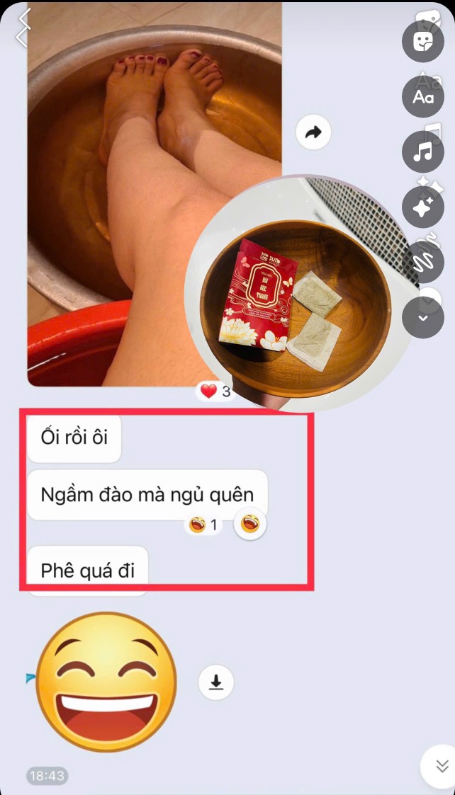 Ngâm Mông Hoa Viên Bài Độc Thang